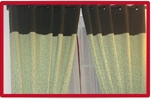 Plants: image 1 0f 4 thumb